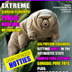 Illustration for article titled When tardigrades turn to the dark side: Murder Bears